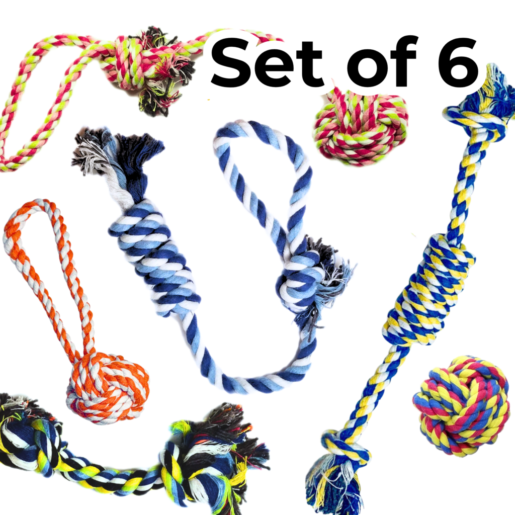 Small Dogs Rop 6 Pack Ropes for Small and Medium Dogs - Otterly Pets - Affordable and ...