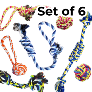 Set of 6